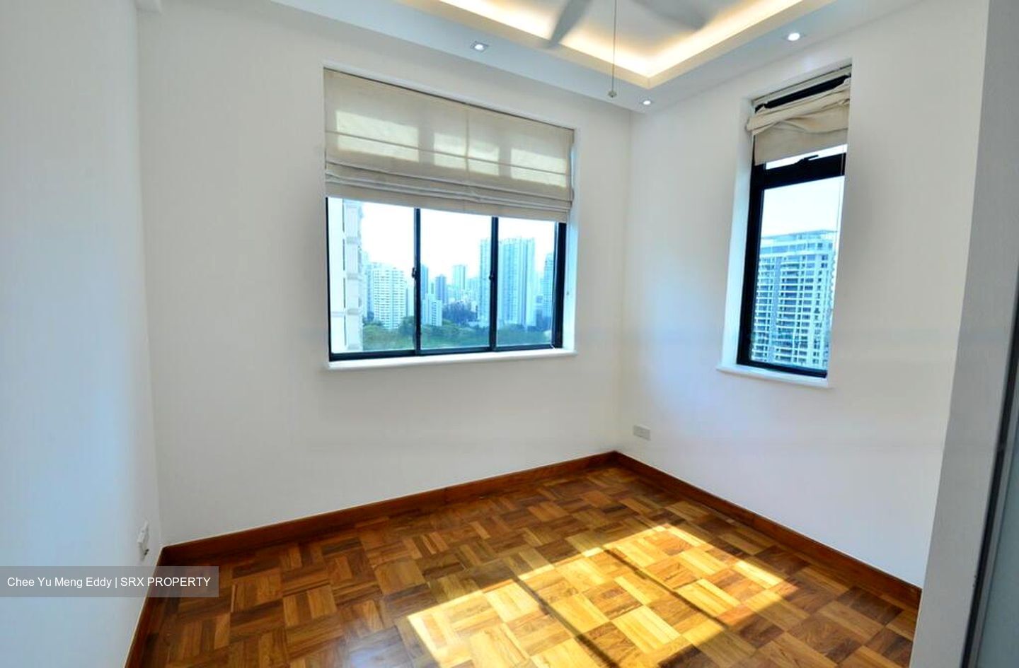 Spring Grove (D10), Condominium #477264871